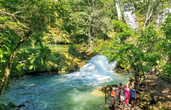 Sucuri toma banho de cachoeira e é levada por correnteza